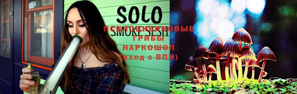 прущие грибы Нея