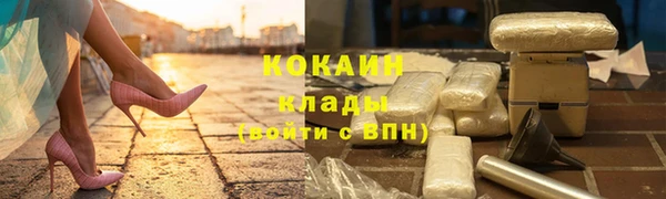прущие грибы Нея
