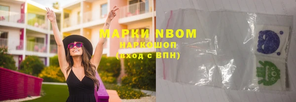 прущие грибы Нея