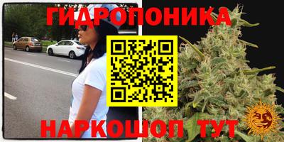 бошки Гусь-Хрустальный