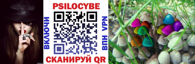 Галлюциногенные грибы Psilocybe  Стерлитамак 