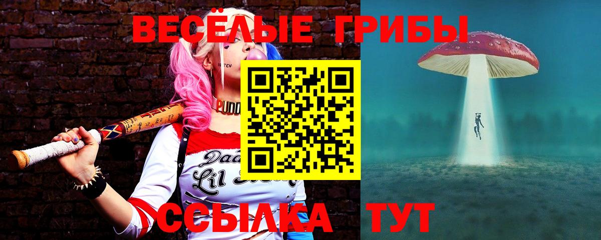 Псилоцибиновые грибы Psilocybe  закладка  Стерлитамак  Псилоцибиновые грибы MAGIC MUSHROOMS 