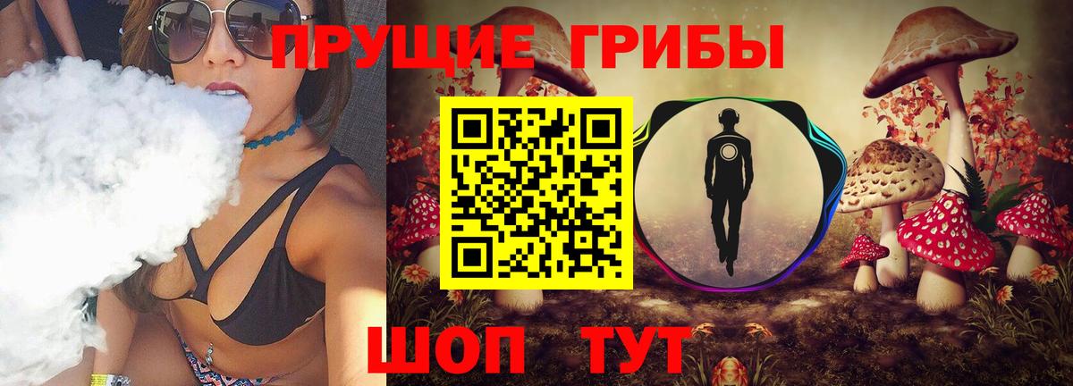 Псилоцибиновые грибы GOLDEN TEACHER Стерлитамак