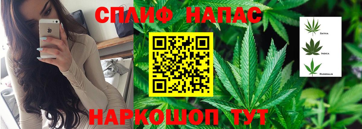 Стерлитамак  Марихуана сатива  Шишки марихуана планчик  Бошки марихуана OG Kush  Шишки марихуана OG Kush  Вход с VPN 